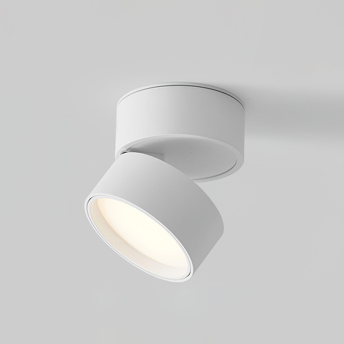 LED-Deckenstrahler Verstellbar | Aluminium | Warmweiß 3000K | Modern