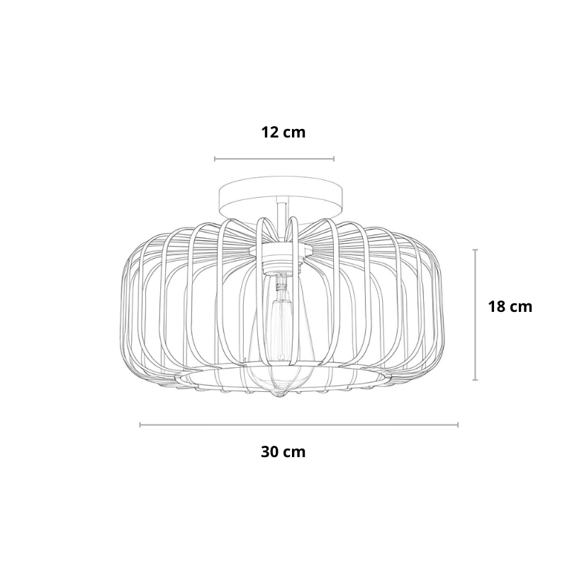 Industrial-Deckenleuchte | Schwarz | Metall | Wohnzimmer & Esszimmer