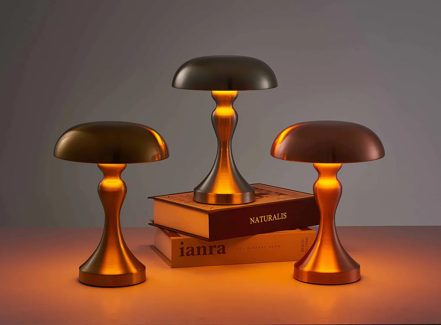 Moderne Tischlampe | Kabellos | Wiederaufladbar | LED-Beleuchtung